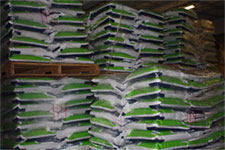 Pallets of Bagged Ice Melter